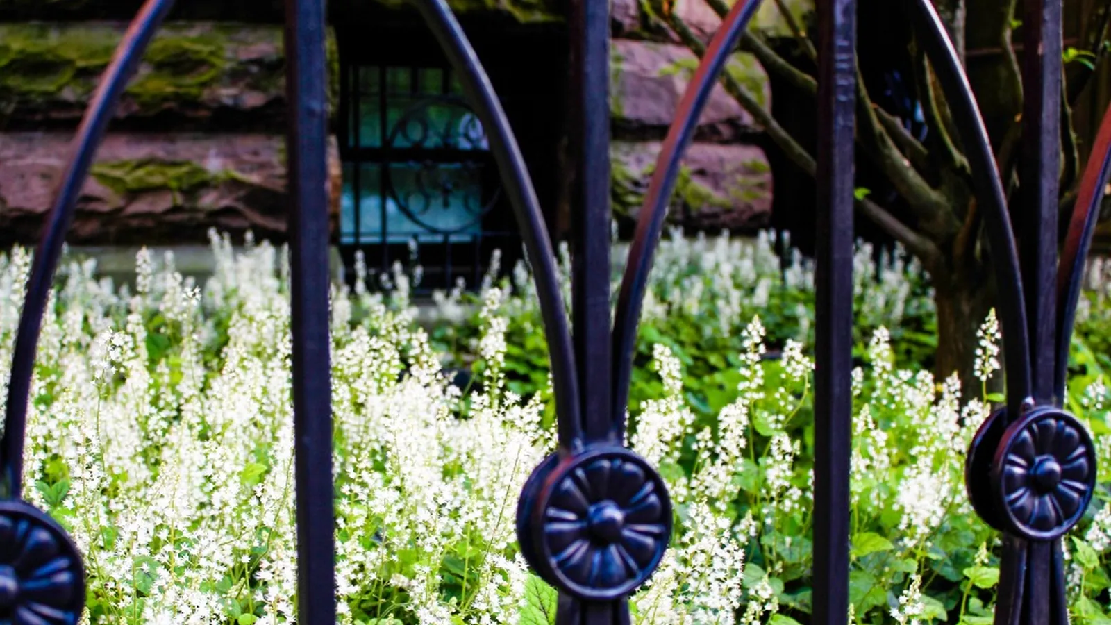 Aluminum (ALU) Fence in Auckland