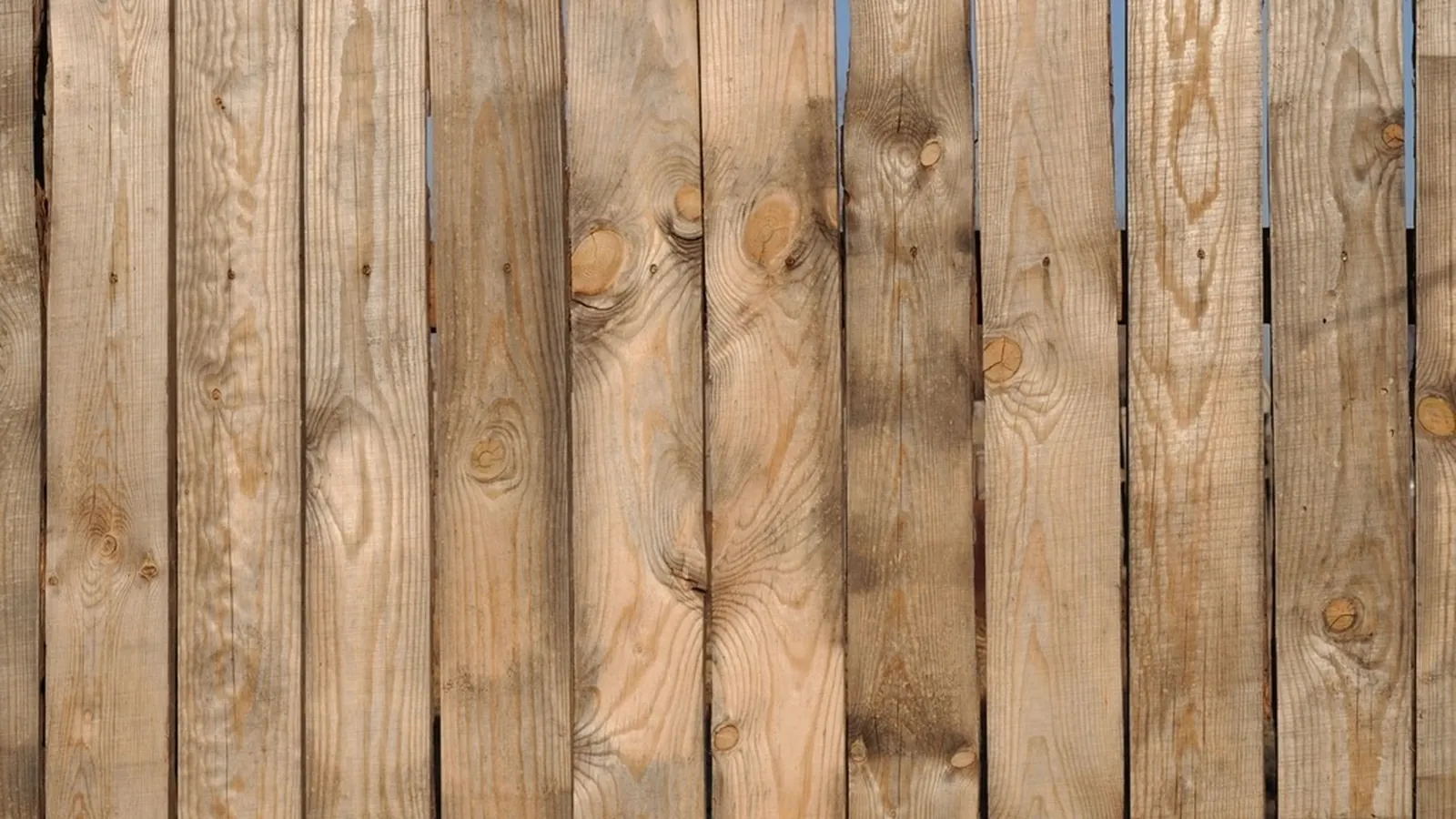 Quality timber fencing installed in Auckland by My Homes Fencing Expert
